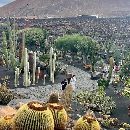 Vacacional Con Balcón La Vela *